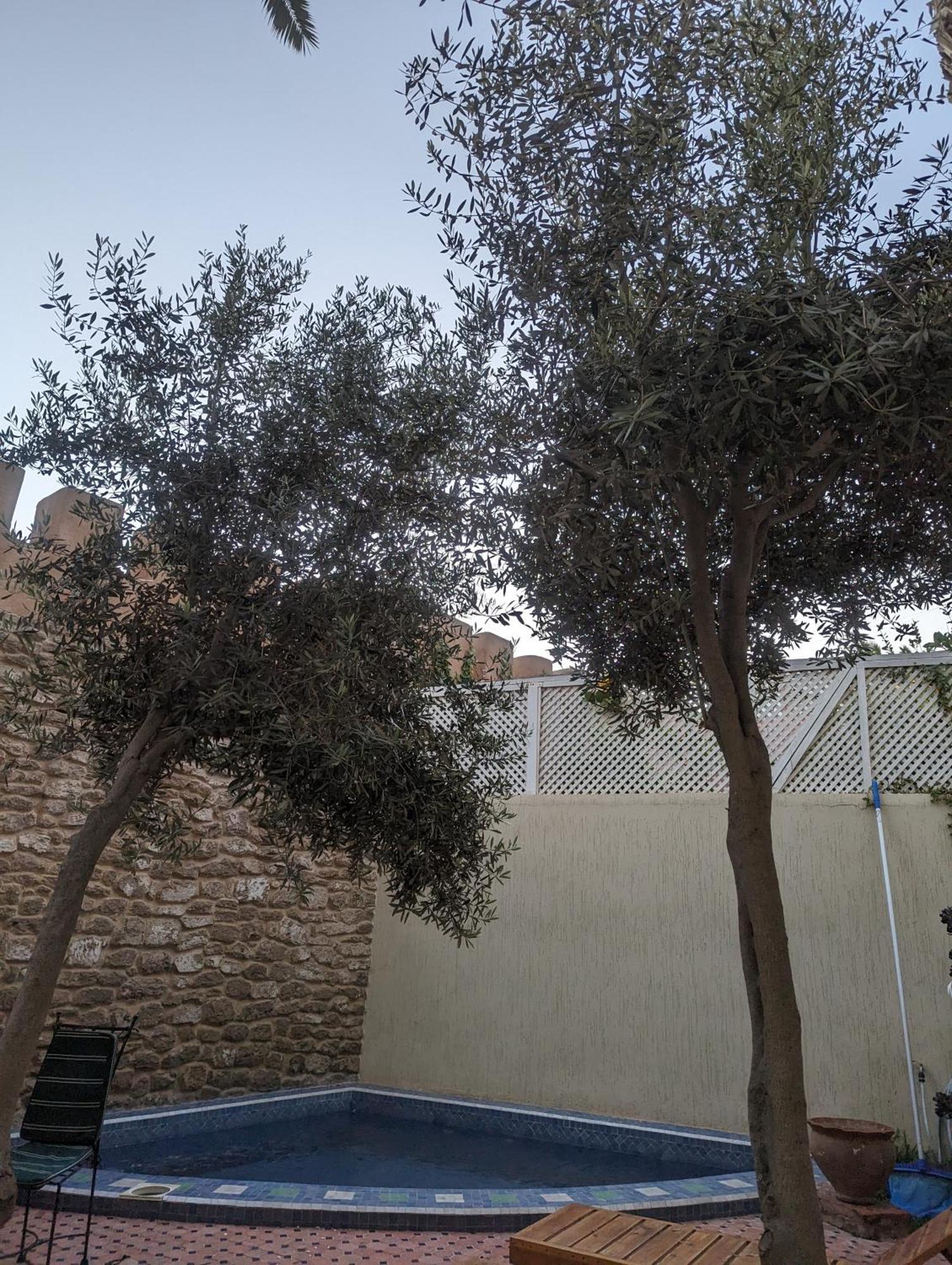 אסאוירה Aghata Palms Riad מראה חיצוני תמונה