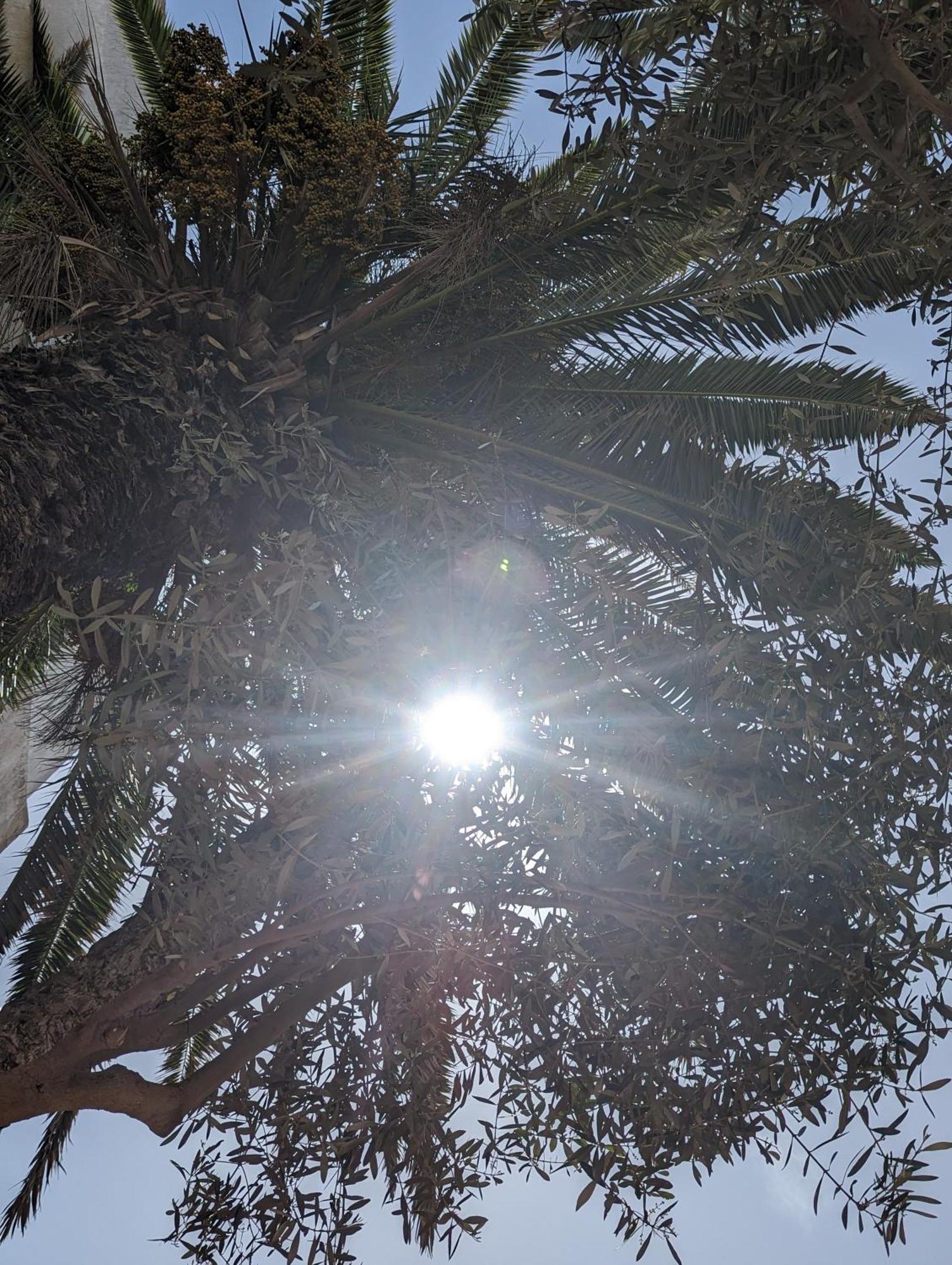 אסאוירה Aghata Palms Riad מראה חיצוני תמונה
